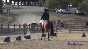 063D Leah Raheja on Simply a Star Preliminary Rider Dressage Woodside August 2014