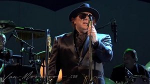 Van Morrison - The Way Young Lovers Do  (live at the Hollywood Bowl, 2008)