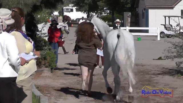 015J2 Ellen Truitt on Grand Traverse CCI1* FEI Jog 2 Colorado Horse Park June 2016 смотреть онлайн