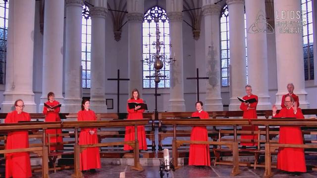 Selectie Koralen & Aria's uit Matthäus Passion - J.S. Bach смотреть онлайн