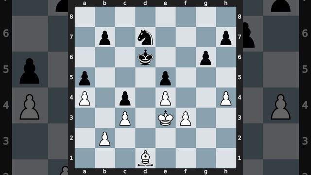 Mihai Suba(2464) vs Vitaly Tseshkovsky(2564) | Event: 20th World Seniors | 2010.11.04 смотреть онлайн