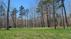 Wallace Real Estate - Lot 36 Waterview Lane