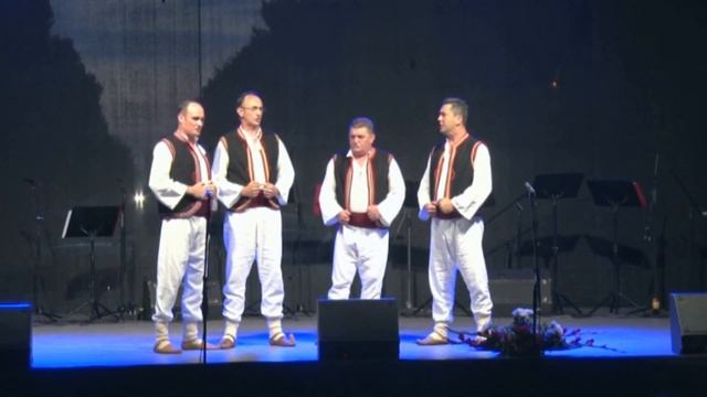 vidovdanski koncert KUD Đura Jakšić 2016 смотреть онлайн