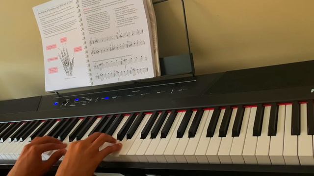 A Leschetizky Solution ( Piano Progression #15)