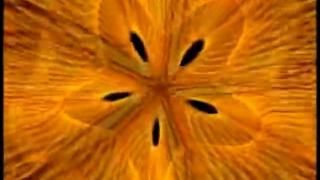 MICHEL POLNAREFF LOVE ME PLEASE ,sound 100% bonne qualité смотреть онлайн