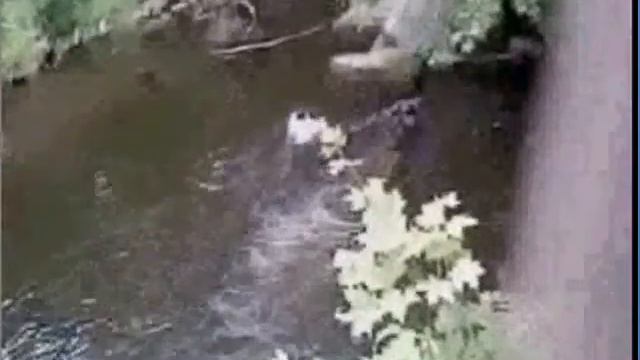 cliff jumpers смотреть онлайн