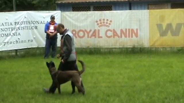 JUTTA VAN DE UTADREEF, BH смотреть онлайн