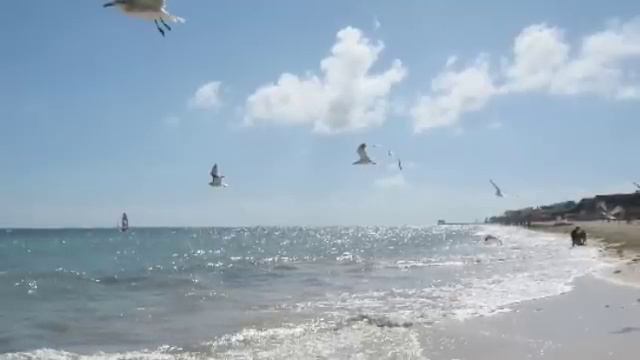 Ave Maria-Bach/Gounod (Tuba) смотреть онлайн