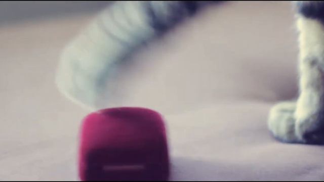 Дмитрий и Елена. 5 июня 2013г. смотреть онлайн