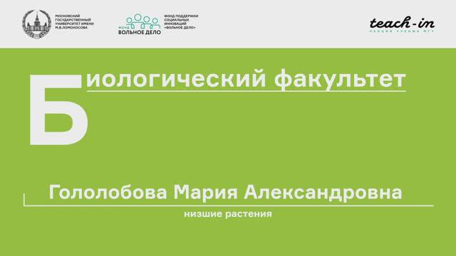 3. Жизненные циклы водорослей. Цианобактерии. Альгология - Гололобова М. А. Teach-in.