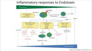 Immunomodulation and extracorporeal therapies.  Antonelli Massimo 2017