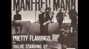 Manfred Mann - Pretty Flamingo