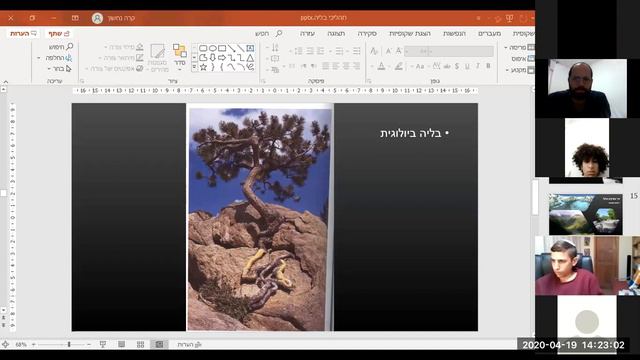 כה בניסן תהליכי בלייה בסלעים. המורה נחשון