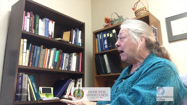 DMTx Research Interview with Dr. Carla Clements смотреть онлайн