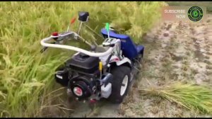 Driverless REAPER BINDER MACHINE Harvesting Paddy / Rice | Automatic Mini Reaper Binder Machine