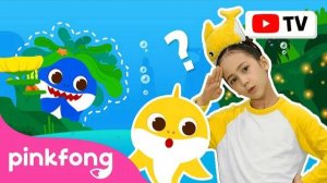 [4K] Where Is Daddy Shark? | Dance Along | Kids Rhymes | Let's Dance Together! | Pinkfong Songs