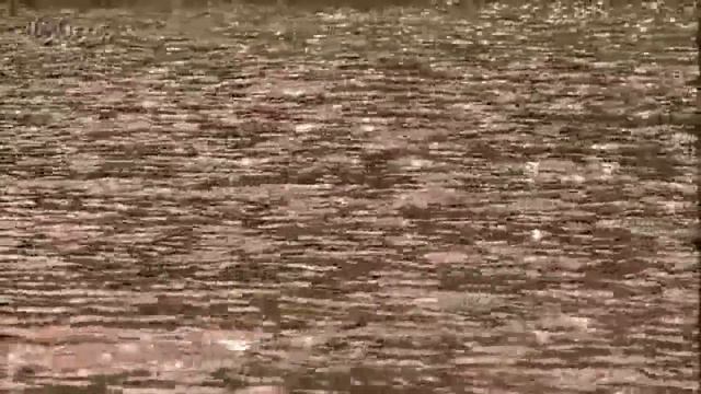 シングルアゲイン竹内まりや cover