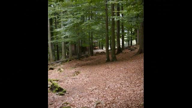 Šumava (Czech Rep.), Stožec and Bayerischer Wald (Bavorský les), Germany - Photos смотреть онлайн