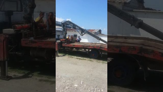 231 смотреть онлайн