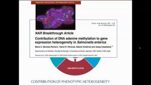 More Regulation!, Epigenetics, Phages and Antimicrobial Resistance. Session 3-3:  MA Sánchez Romero