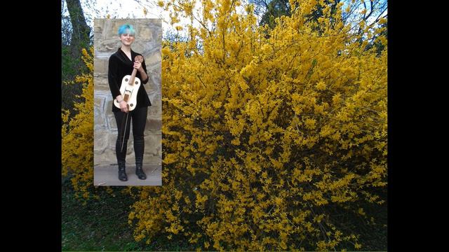 Ecco la Primavera (Francesco Landini) Ensemble Ars Serena смотреть онлайн