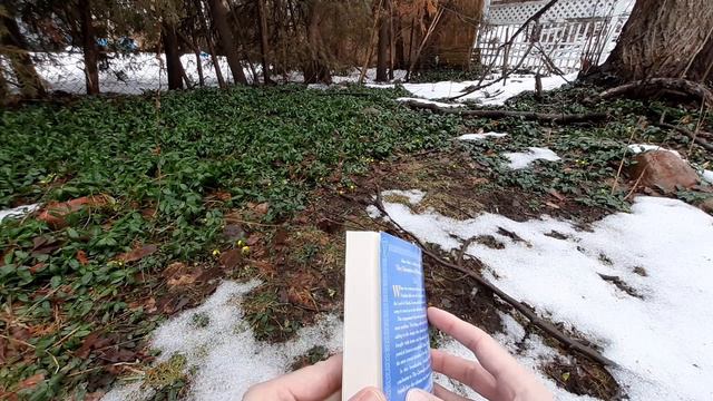 Book Review: "The High King" by Lloyd Alexander смотреть онлайн