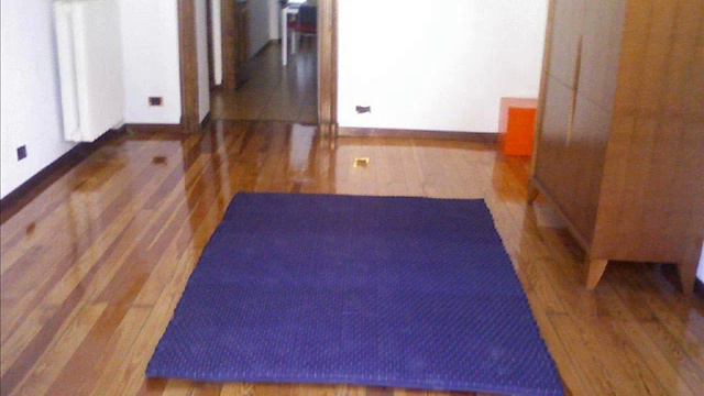 AFFITTO VIA DROVETTI PIAZZA STATUTO/CORSO FRANCIA смотреть онлайн