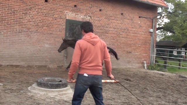 Stanley-Schardama(Singular Joter) 1,5Jahre смотреть онлайн