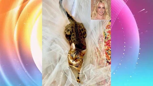 Britney Spears tries on a Versace wedding dress смотреть онлайн