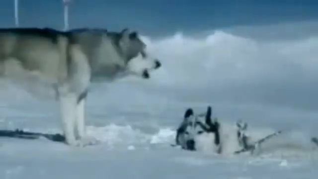 Krasnov Andrei-Free youre mind смотреть онлайн