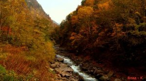 Краски осени.