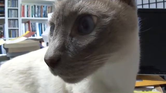 Lars Says Happy Birthday to Mom смотреть онлайн