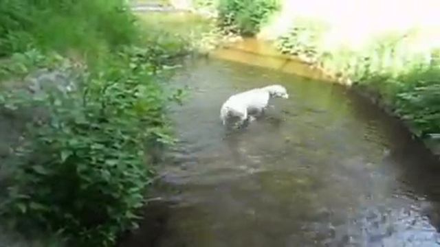 Mein Schatzi - Enzo смотреть онлайн