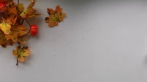 Поделка в детский сад осенние грибочки своими руками