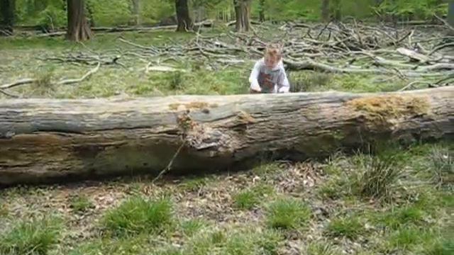 Louise & Frederik træner Parkour смотреть онлайн
