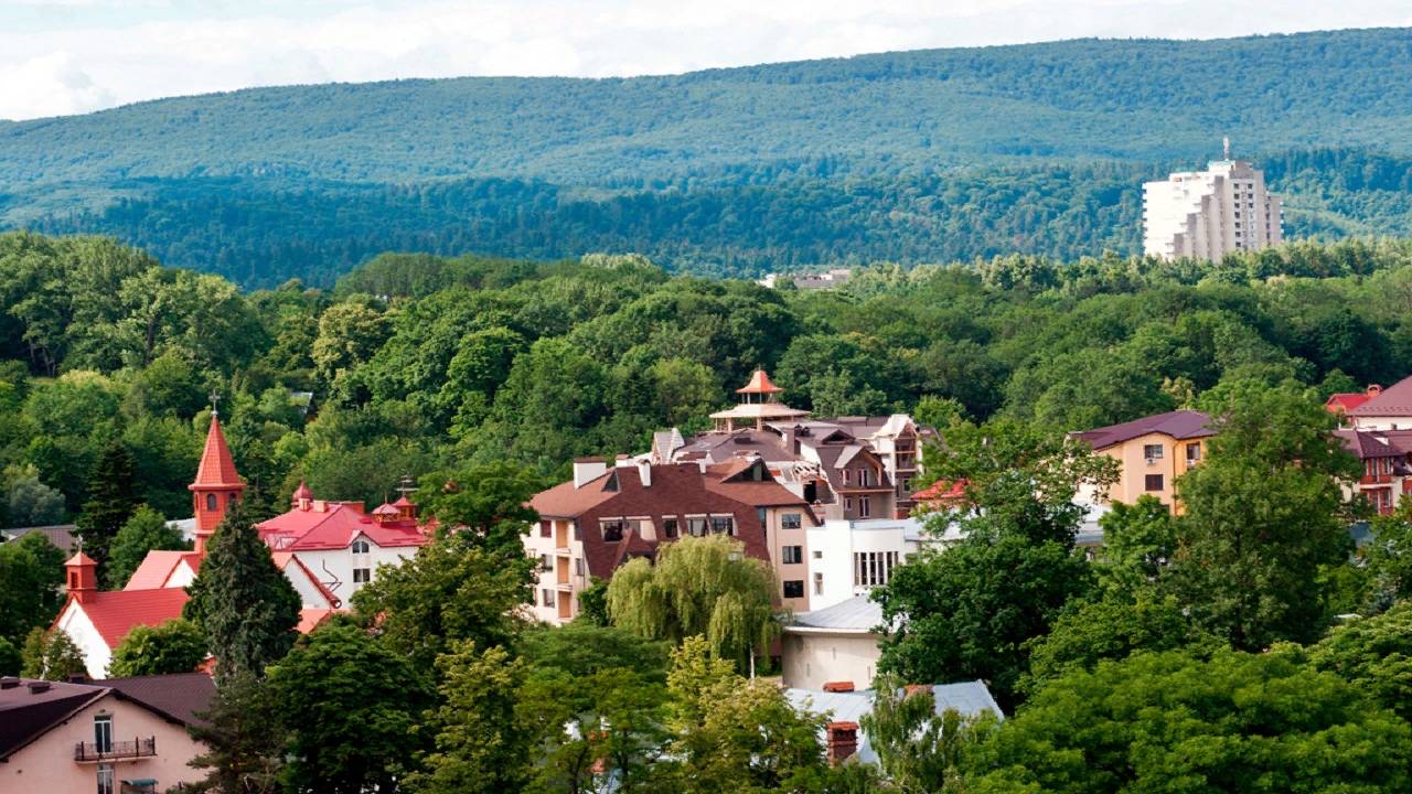 Аккордеонисты Виртуозы  Валерий Шафета Юрий Дякунчак