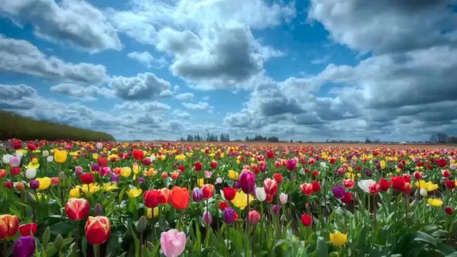 Eugene Izotov plays Strauss Oboe Concerto