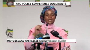 No permanent friends in diplomacy -Mashabane