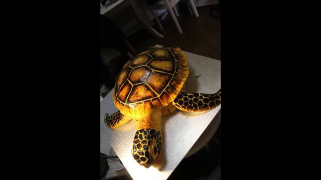 Tortuga (Turtle) Cake смотреть онлайн