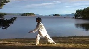 Taiji Shen Gong  Li Jing #1