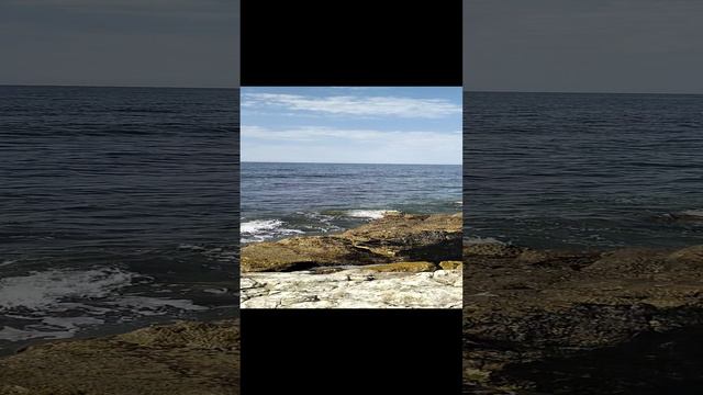 VID20240914111120.mp4