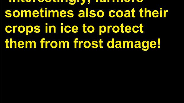 Intrebari Meteorologie 68 смотреть онлайн