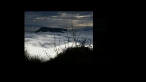 Zdenek Fibich - Poeme / Violin & Piano - Pep Serdà