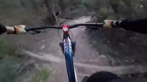 Tuggeranong pines dh tracks