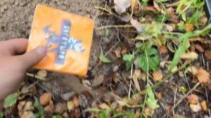 Коп в Подмосковье!