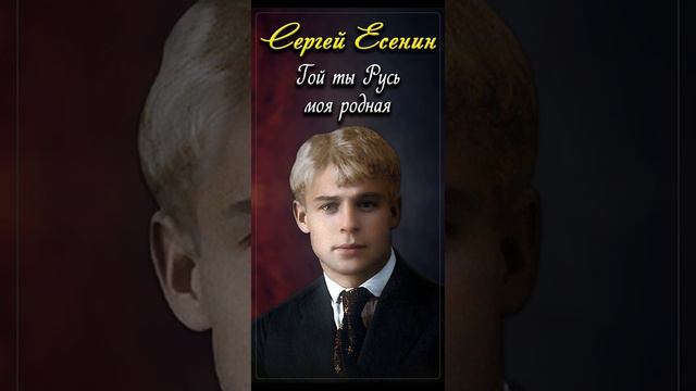 Гой ты, Русь, моя родная - Сергей Есенин (читает Павел Севостьянов) #shorts