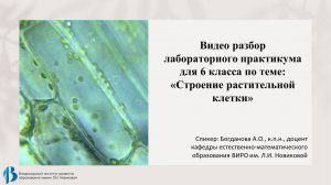 Видео разбор лабораторного практикума для 6 класса  по теме "Строение растительной клетки"