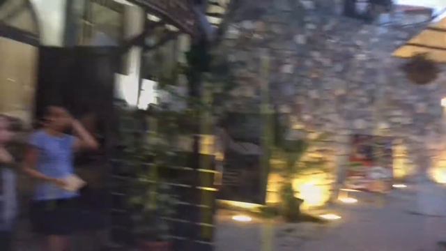 Quite Vlog from Sozopol/Elfy смотреть онлайн