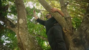 Мы Электрефицировали Удаленный Остров