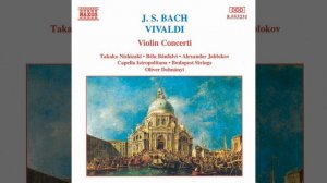 Violin Concerto in B-Flat Major, Op. 8, No. 10, RV 362, "La caccia": III. Allegro